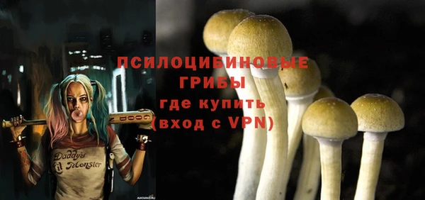 PSILOCYBIN Алексеевка