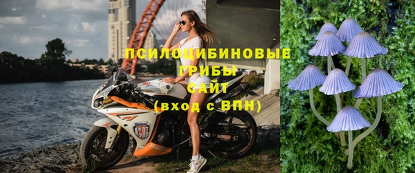 ALPHA PVP Алзамай