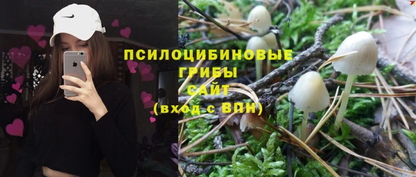 PSILOCYBIN Алексеевка