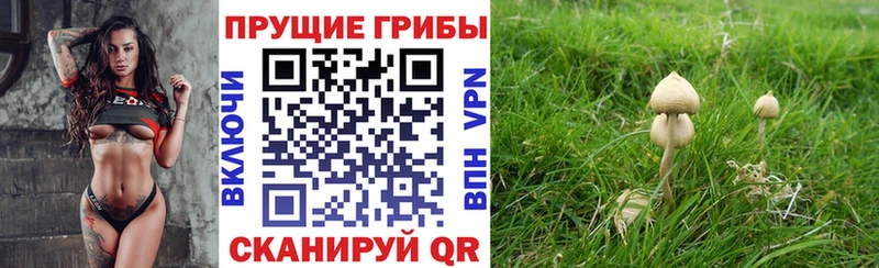 Галлюциногенные грибы ЛСД мега онион Островной